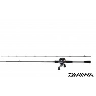 SET CAST DAIWA 06 AIRD - Canne et Moulinet DAIWA AIRD bait casting