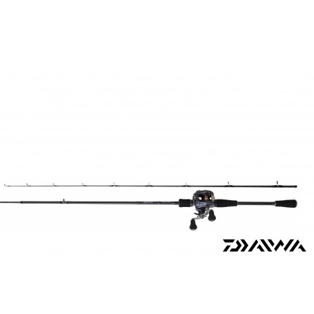 SET CAST DAIWA 06 AIRD - Canne et Moulinet DAIWA AIRD bait casting