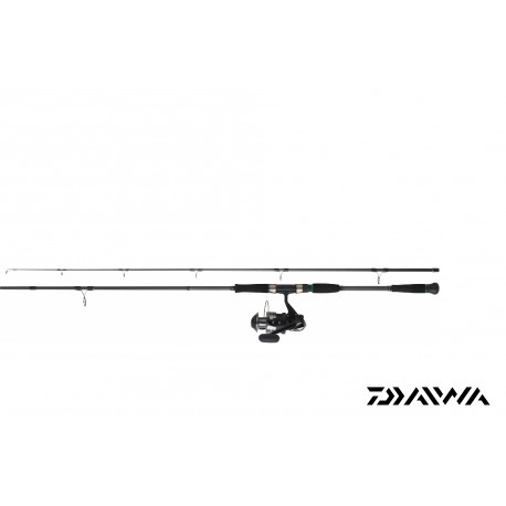 moulinet silure daiwa