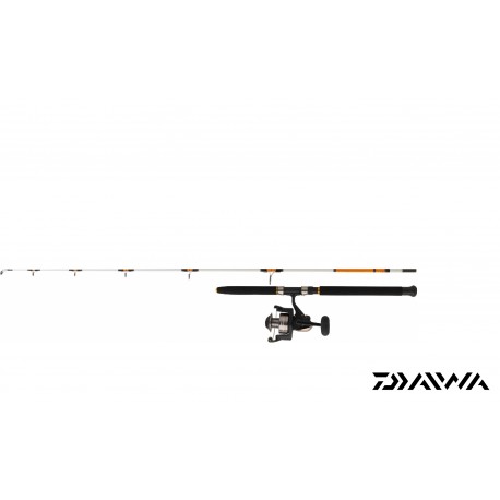 SET JIGGING DAIWA - Canne DAIWA SWEEPFIRE et Moulinet DAIWA AG