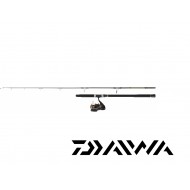 SET SILURE DAIWA 02 - Canne DAIWA POWERMESH CATFISH et Moulinet DAIWA BLACK GOLD