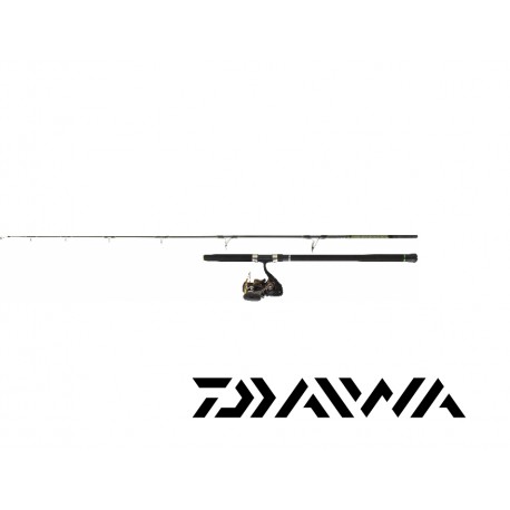 SET SILURE DAIWA 02 - Canne DAIWA POWERMESH CATFISH et Moulinet DAIWA BLACK GOLD