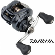 Moulinet Daiwa AIRD bait casting