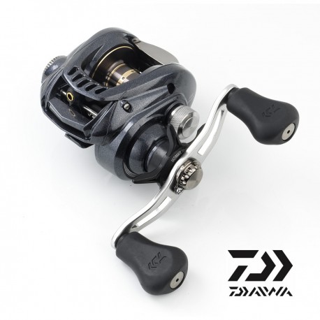 Moulinet DAIWA AIRD Moulinet Baitcasting