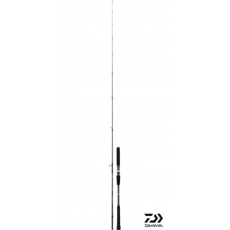 Canne Daiwa SALTIST JIGGING 2 pour la pêche en mer