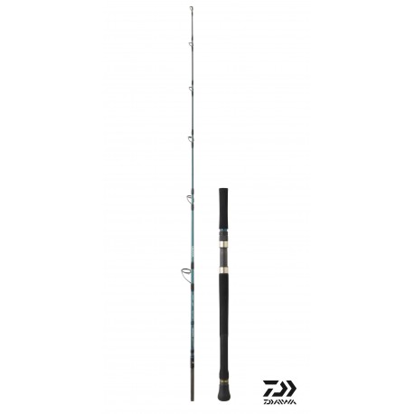 Canne Daiwa GRANDWAVE pour la pêche jigging en mer